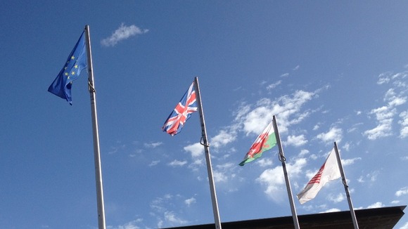 Senedd flags