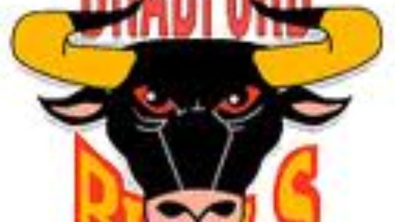 Bradford Bulls logo