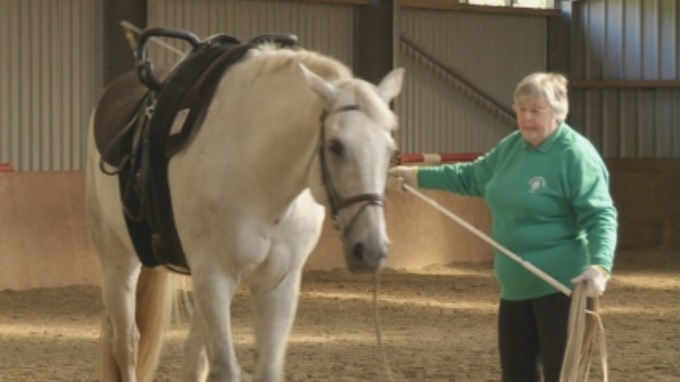 itvhorse