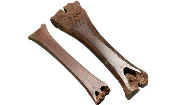 Medieval ice skates.