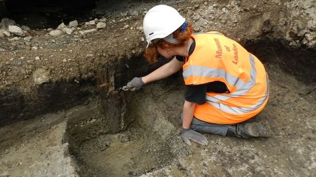 An archaeologist unearths a Bronze Age wooden stake.
