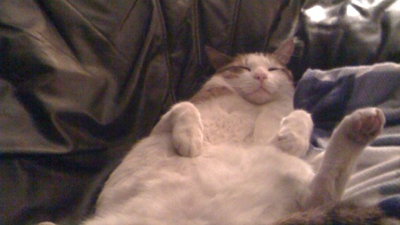 Omar Sharif relaxes on the sofa