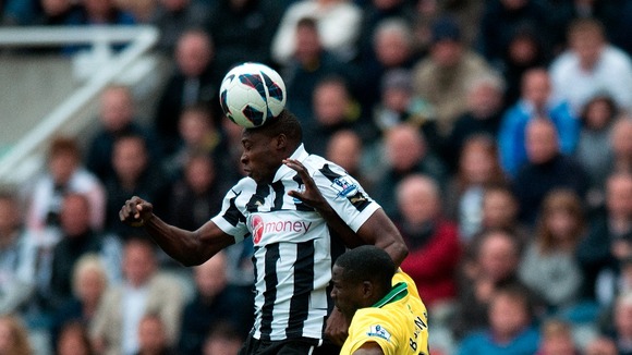 Shola Ameobi