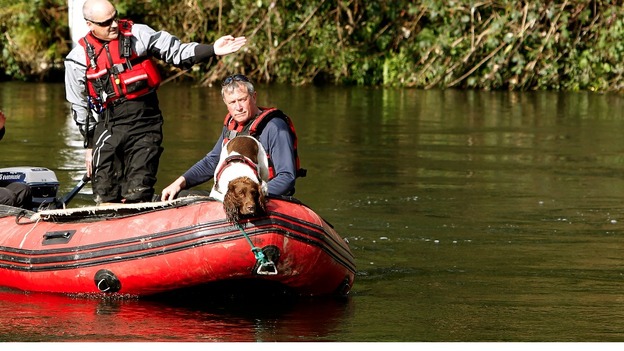 A specialist search dog rides on a boat on the River Dyfi as the hunt for missing April Jones continues around Machynlleth