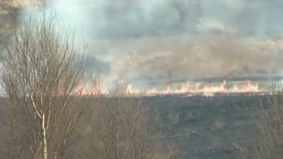 Ashdown Forest fire