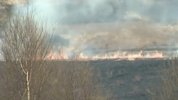 Ashdown Forest fire