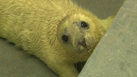 Paloma had been abandoned by her mother.