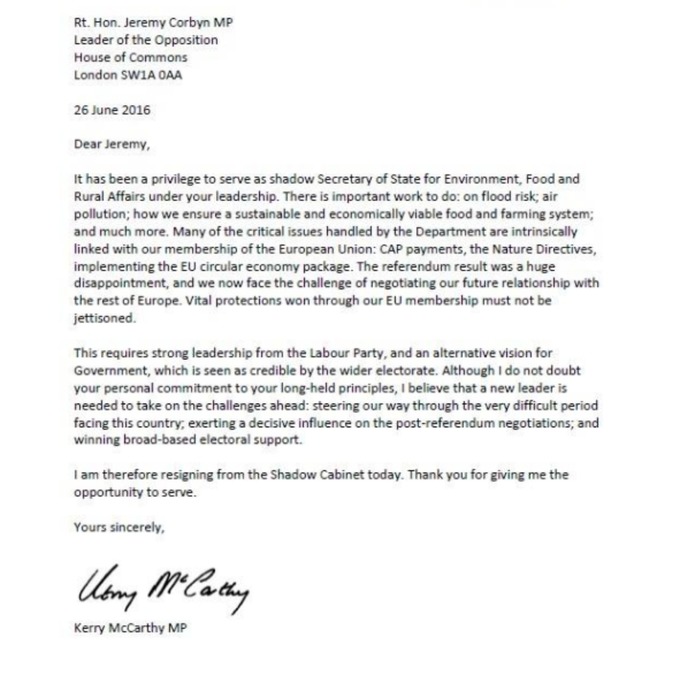 i believe that a new leader is needed kerry mccarthy s