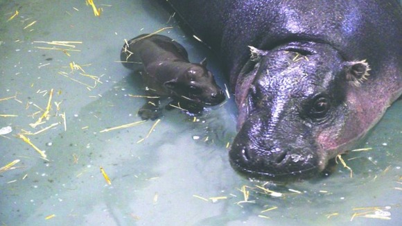Georgia enjoys a dip with her mum Flora