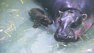 Georgia enjoys a dip with her mum Flora