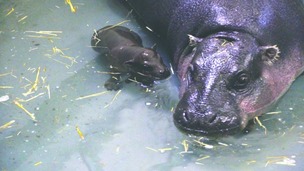 Georgia enjoys a dip with her mum Flora