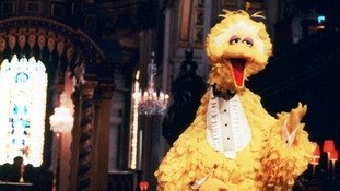Big bird pictured in 1990