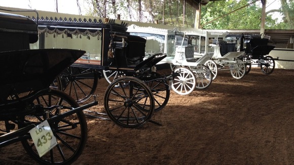 Horse-drawn hearses await sale in Kent