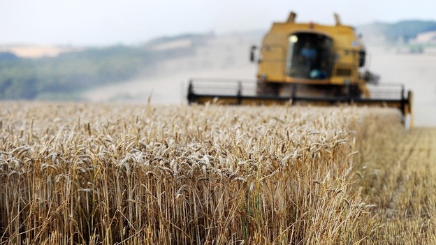 Combine harvester in a field