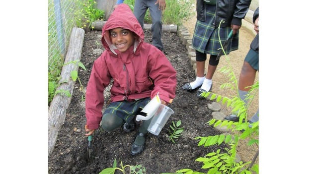 A child gardening.