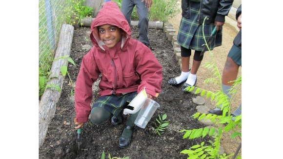 Child gardening.