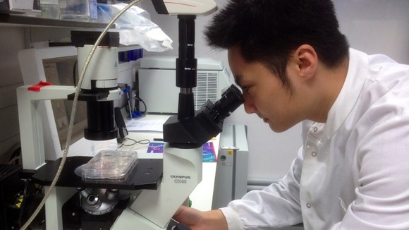 Scientist doing Alzheimer's Research in Cambridge