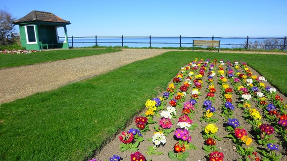 Blue skies and spring flowers on the cliff top at Mundesley, Norfolk