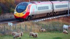 Virgin Train