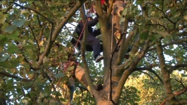 Liam Byrne being rescued from the tree after his first parachute jump