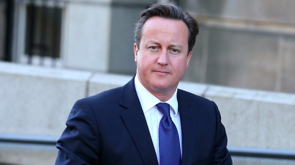 David Cameron's official spokesman said the government was giving its full backing to a Football Association complaint.