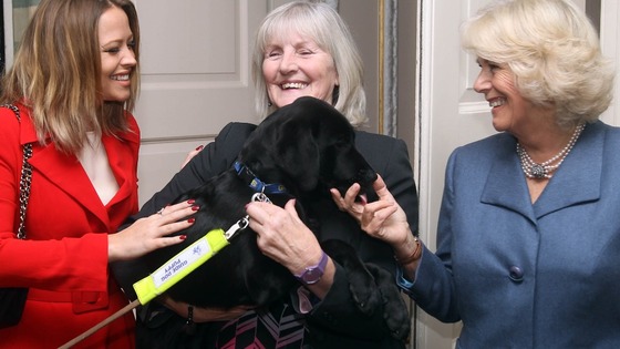 Guide puppy Badger stroked by The Duchess of Cornwall and Kimberley Walsh with Diamond Champion volunteer Madeline Mason(centre)