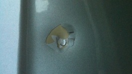 Pellet damage to car