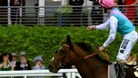 Frankel retires after tomorrow's race at Ascot