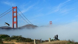 San Francisco at heart of California's tech industry