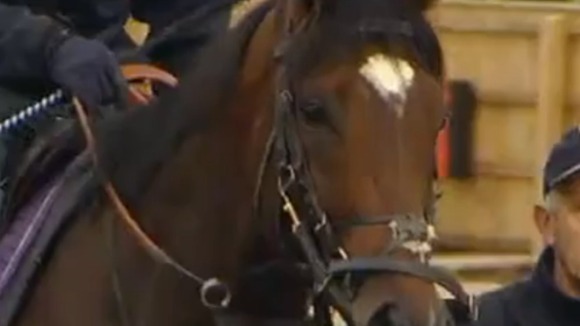 Frankel