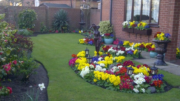 Spring flowers in a Norwich garden