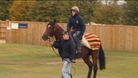 Frankel
