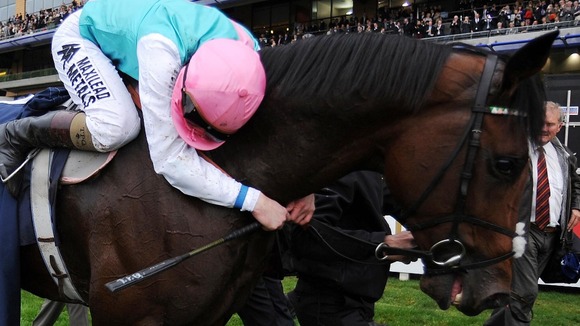 Tom Queally hugs Frankel after winning the Qipco Champion Stakes