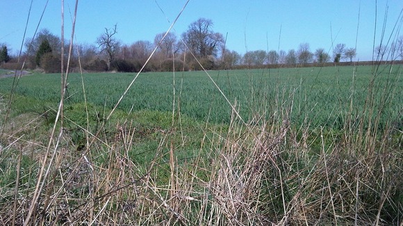 The site at Lubbesthorpe where there are plans for more than 4000 homes