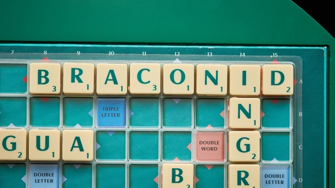 Image result for braconid scrabble