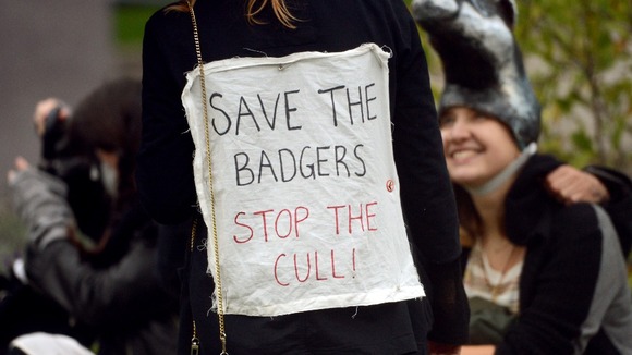 Protesters demonstrate against the badger cull