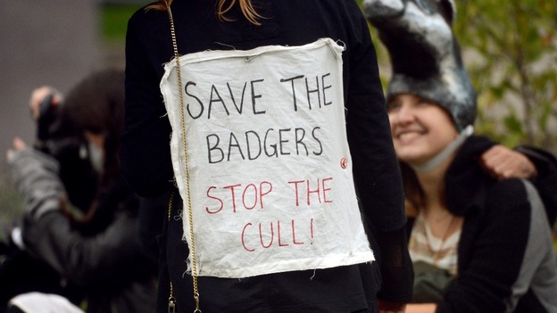 Protesters demonstrate against the badger cull