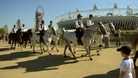 Olympic Park.