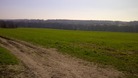 Sandleford Park near Newbury, inspiration for Watership Down