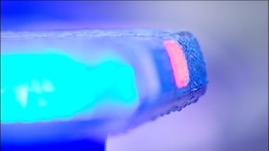 Police light