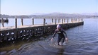 swimmers