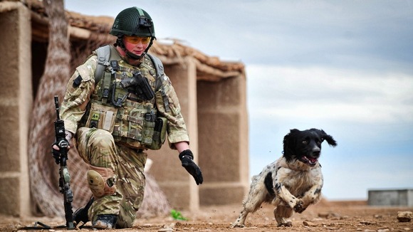 Lance Corporal Liam Tasker with Theo training in Afghanistan in 2011