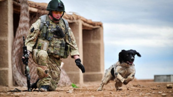 Lance Corporal Liam Tasker and Theo in action in Afghanistan