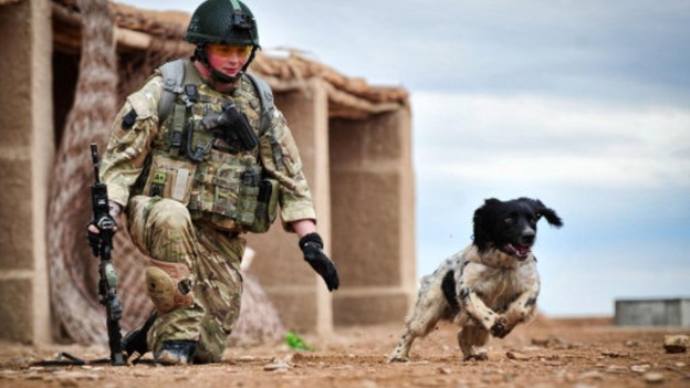 Lance Corporal Liam Tasker and Theo in action in Afghanistan