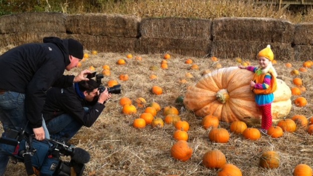 pumpkin york maze 2