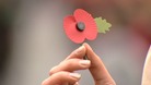 Poppy Appeal
