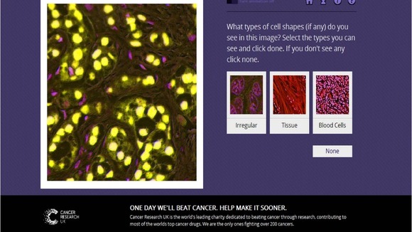 The Cell Slider site