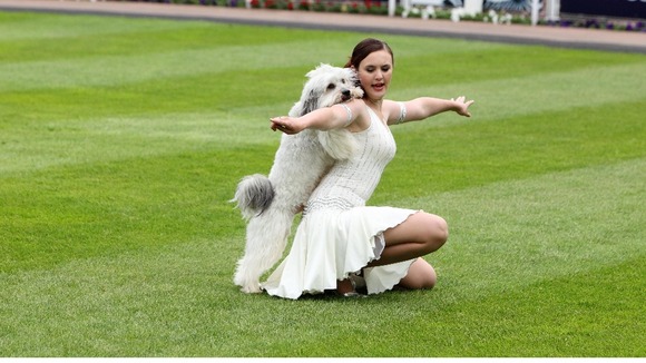 Pudsey and Ashleigh performing