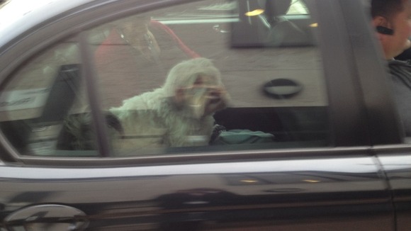 Pudsey arriving at ITV Anglia