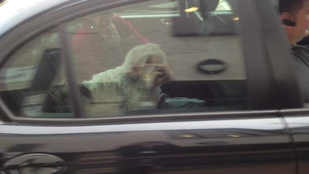 Pudsey arriving at ITV Anglia